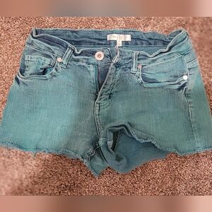 love, Fire Teal Denim Shorts